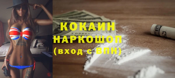 гидропоника Алзамай