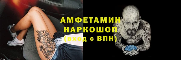 прущие грибы Алексеевка