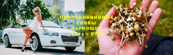 гидропоника Алзамай