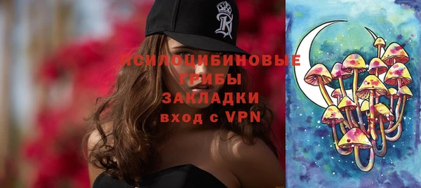 прущие грибы Алексеевка