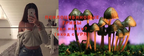 гидропоника Алзамай