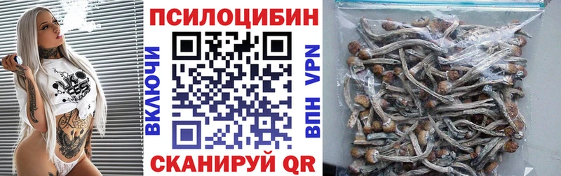 Галлюциногенные грибы Psilocybine cubensis Петрозаводск