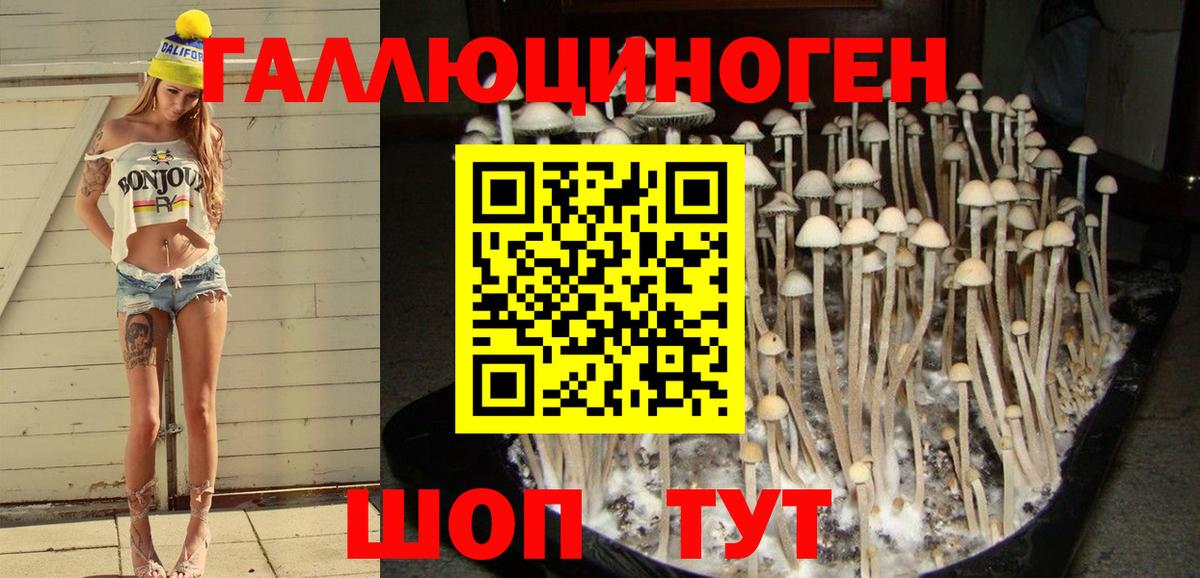 Петрозаводск  как найти наркотики  Галлюциногенные грибы Psilocybine cubensis  Вход с VPN  Галлюциногенные грибы Cubensis 